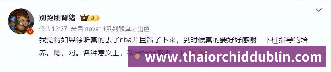 对战数据统计