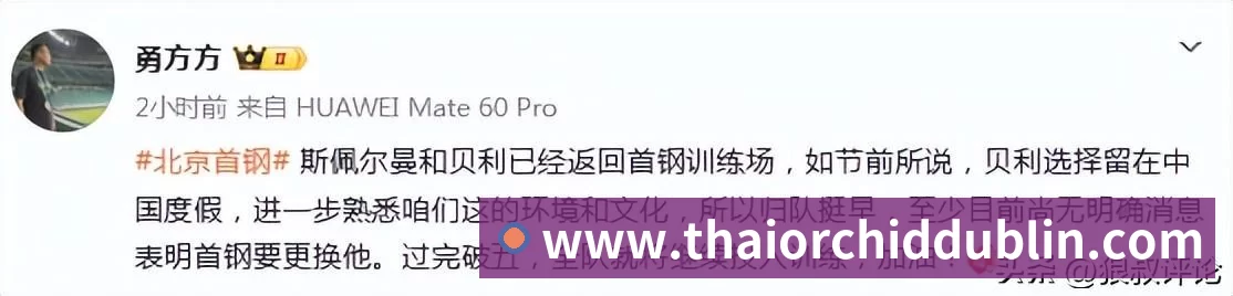 赛事专题整合